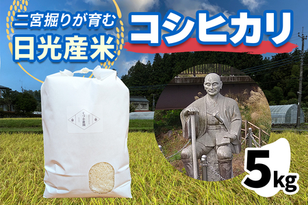 [令和7年度米] 日光産 コシヒカリ 5kg×1《二宮掘りが育む日光産米》数量限定 2025年度米 [0840]