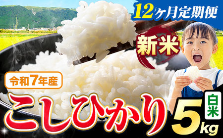 【12ヶ月定期便】令和7年産 白米 こしひかり 5kg 《お申込み翌月から出荷》 