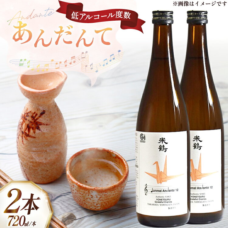 【ふるさと納税】 日本酒 純米あんだんて 720ml 2本 セット [米鶴酒造 山形県 高畠町 tk06ays710014] 酒 お酒 米 旨口 720 晩酌 淡麗 すっきり