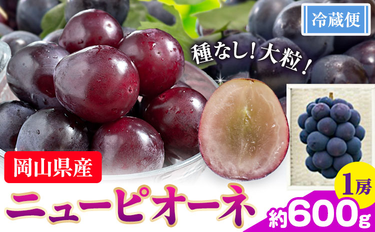 ぶどう ニューピオーネ 約 600g 1房 株式会社藍《9月中旬-10月下旬頃出荷》 岡山県 浅口市 岡山県産 ぶどう フルーツ 果物 くだもの ピオーネ 送料無料 【配送不可地域あり】（北海道・沖縄・離島）---124_c3247_9a10c_25_13000_600g---