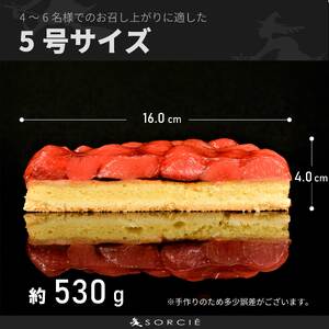 【着日指定可】誕生日ケーキ 苺 のコンポート タルトケーキ 5号 直径16cm 4人～6人分 530g 【バースデー飾り付】 スイーツ ギフト いちご | デザート お誕生日 誕生日 愛媛県 松山市【