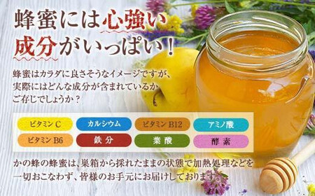 【全3回】 定期便 かの蜂 国産 百花蜂蜜 合計3kg（とんがり容器1kgを毎月1本お届け）　024-T002