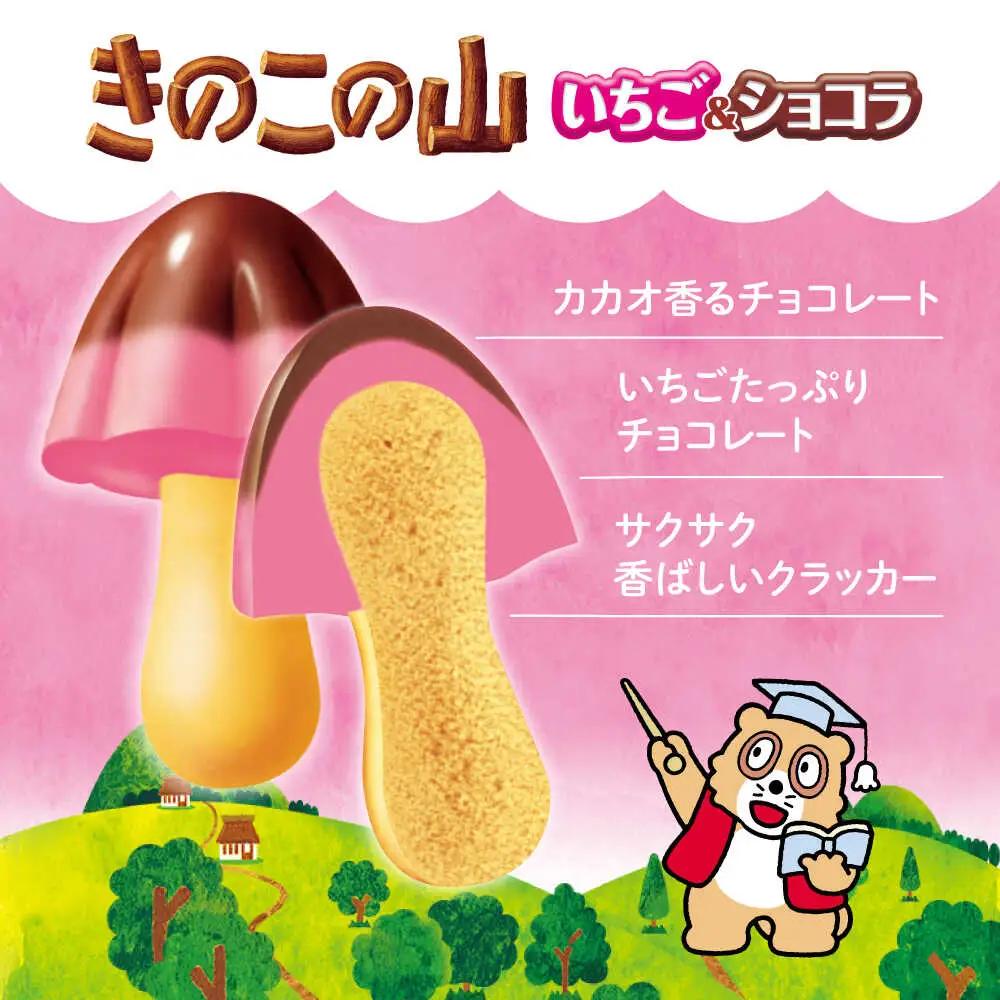 きのこの山 たけのこの里 いちご＆ショコラ 各20箱[AOAA068]ショコラ