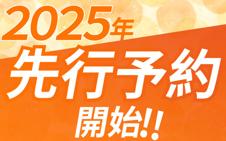 【栃木県共通返礼品】【先行予約】【ふるさと納税】【11月発送分】毎月500個限定！令和7年度新米 栃木県産とちぎの星（玄米真空パック) 約2kg  | 新米 栃木県産 とちぎの星 真空 パック 米  