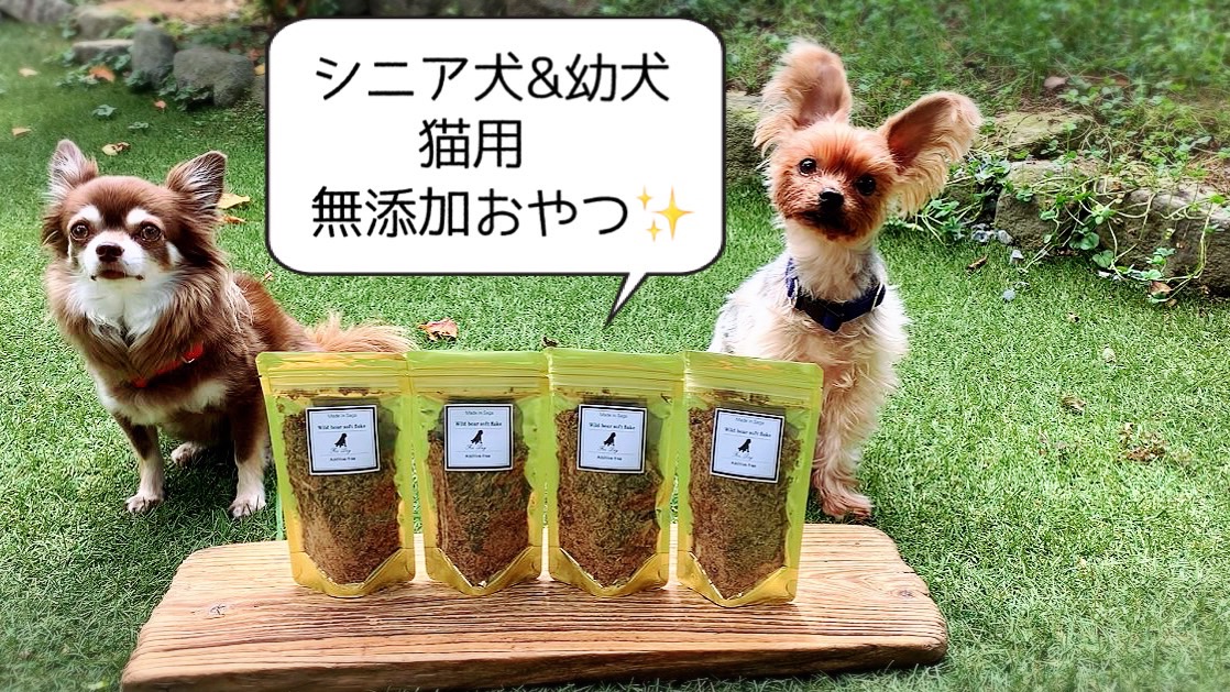FB141_シニア犬＆幼犬＆猫用の無添加おやつ☆ふわふわ天然いのししフレーク4個【定期便全12回】/みやき町