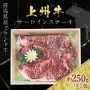 【ふるさと納税】上州牛サーロインステーキ約250g×3 ANP003 ／ 牛肉 サーロインステーキ 送料無料 群馬県 特産品