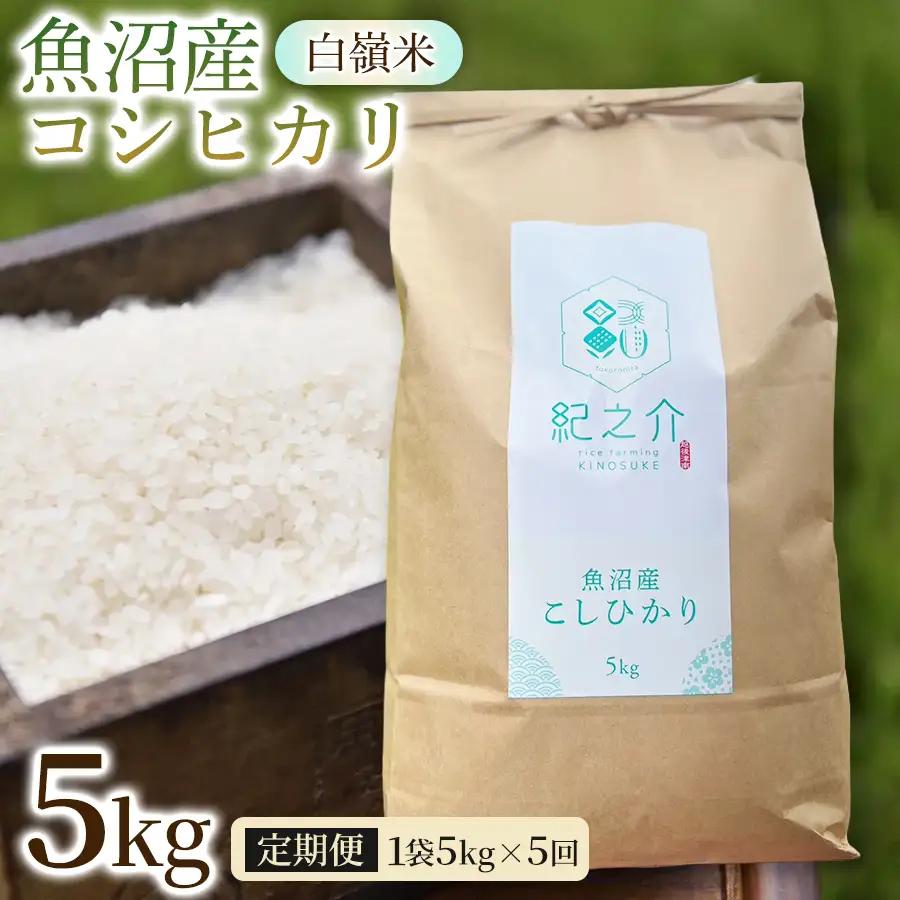 【令和8年産先行予約】【5ヶ月定期便】魚沼産コシヒカリ 白嶺米 5kg(5kg×1袋) | 津南町 魚沼