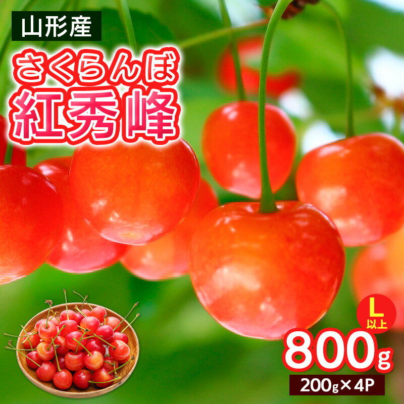 【ふるさと納税】さくらんぼ Lサイズ以上 紅秀峰 800g(200g×4パック)【令和8年産先行予約】FS25-065