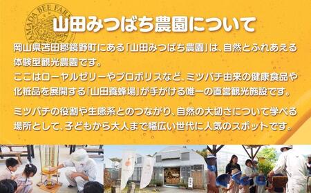 ［山田みつばち農園］体験割引チケット（2000円分）049-a001