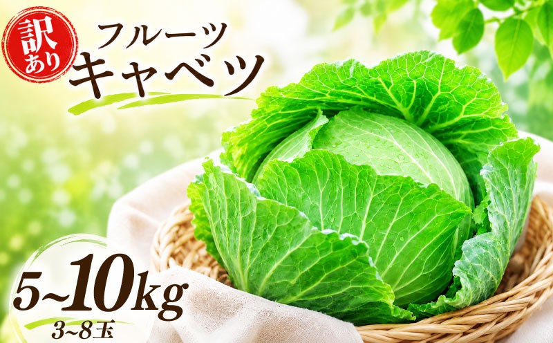 
                  訳あり キャベツ 朝採れ 希少品種 フルーツキャベツ 約 5kg 10kg 選べる 3~8玉 旬の野菜 予約受付 事前予約 サラダ 生野菜 ロールキャベツ 煮物 焼きそば お好み焼き 千切り トンカツ キャベツ ふるさと納税 ふるさと納税キャベツ kyabetu 送料無料 茨城県 鹿嶋市 【2026年11月以降順次発送】
                