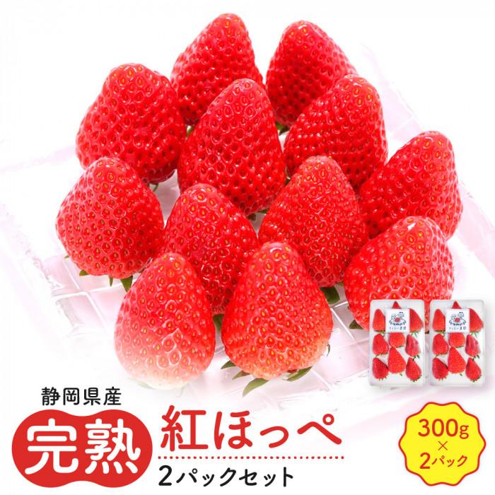 【ふるさと納税】先行受付【静岡県産いちご】完熟紅ほっぺ2パックセット（300g×2パック）【2026年1月下旬以降発送予定】 | いちご イチゴ 紅ほっぺ 静岡県産 フルーツ 果物 くだもの 食品 人気 おすすめ 送料無料
