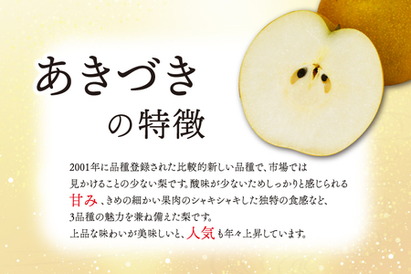 【先行予約】【数量限定】仁平果樹園の梨 「あきづき」5kg (8個～14個)(9月中旬より順次配送) | 果物 新鮮 フルーツ ギフト 梨 ナシ 益子町産梨 甘い あまい 糖度11.5以上 糖度保証 