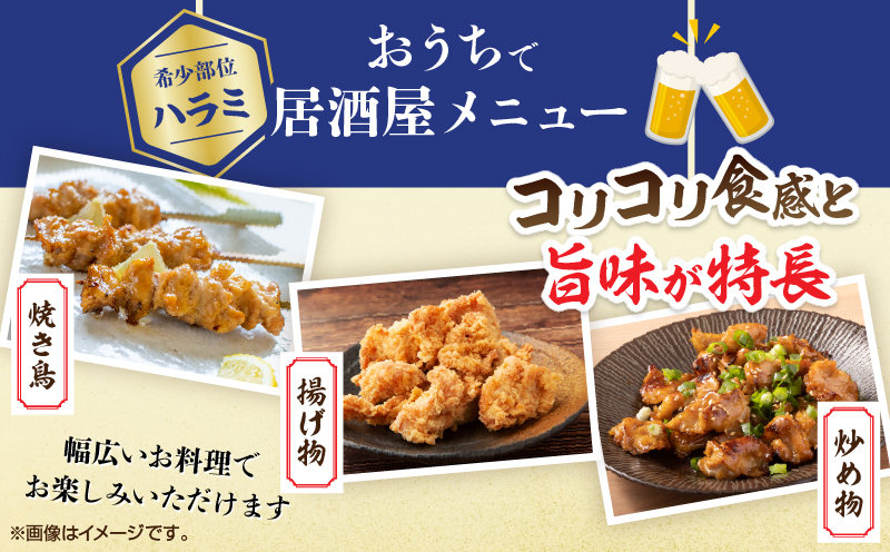 希少部位 宮崎県産 若鶏 ハラミ 計3kg 鶏肉 とり 鳥 国産 小分け 真空パック おかず お弁当 おつまみ 食品 チキン 簡単調理 鶏飯 焼き鳥 焼肉 炒め物 揚げ物 唐揚げ チキンカレー おすす