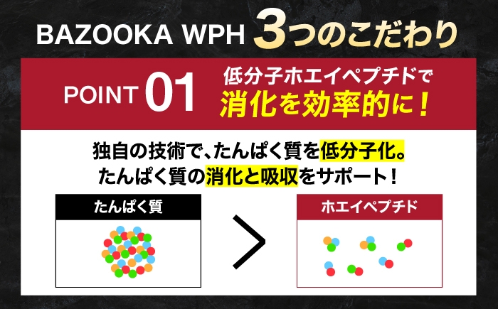 プロテイン ホエイ WPH バズーカ岡田 大容量 セット 人気 おすすめ
