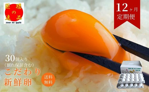 【定期便12回】九十九里ファームこだわりたまご贈答用30個～あおい海・みどりの里～《白玉》 30個 たまご 卵 玉子 タマゴ 新鮮 旨み 甘み 贈答用 贈答 ギフト 贈り物 千葉県 匝瑳市