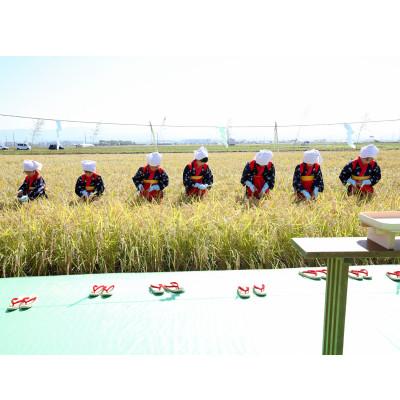 ふるさと納税 能美市 【令和7年産】石川県産ひゃくまん穀白米10kg×1袋 |  | 02