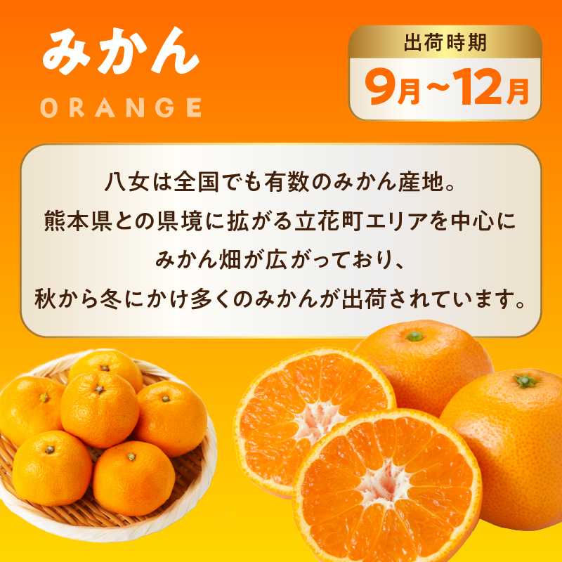 九州・福岡フルーツ王国八女 旬のフルーツ定期便【全3回】A ＜配送不可：北海道・沖縄・離島＞ フルーツ 定期便 あまおう みかん キウイ 季節のフルーツ 果物 おすすめ セット 産地直送 福岡県 八女