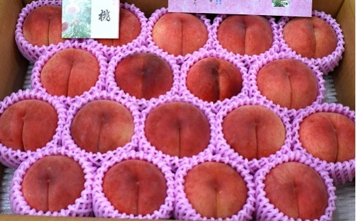 08-07-012　もも(白桃9月ご家庭用)4~4.5kg