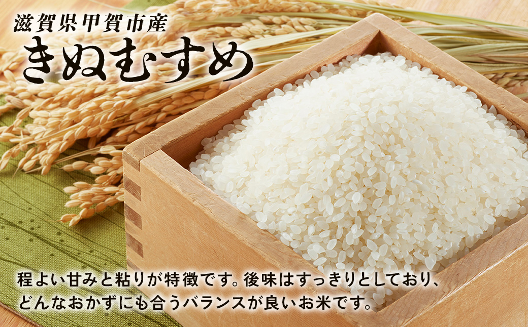 【令和8年産 新米 先行予約】近江米きぬむすめ 30kg（玄米）※2026年9月～発送 (173433-40043440)