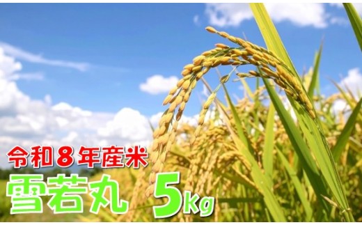 【令和８年産 新米】雪若丸5kg　高橋