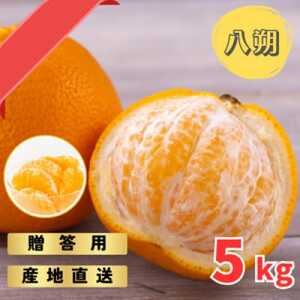 和歌山産　完熟木なりハッサクみかん　贈答用　秀品　約5kg箱入り　M～2Lサイズ【1482412】