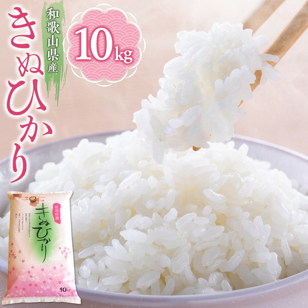 【ふるさと納税】和歌山県産 米 キヌヒカリ 10kg (2025年産)［SL28］ | お米 こめ 白米 食品 人気 おすすめ 送料無料