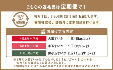 【年3回定期便】  くまもと の すいか 食べ比べ 定期便 合計4玉 スイカ 西瓜 果物 くだもの フルーツ 【2026年4月上旬発送開始】
