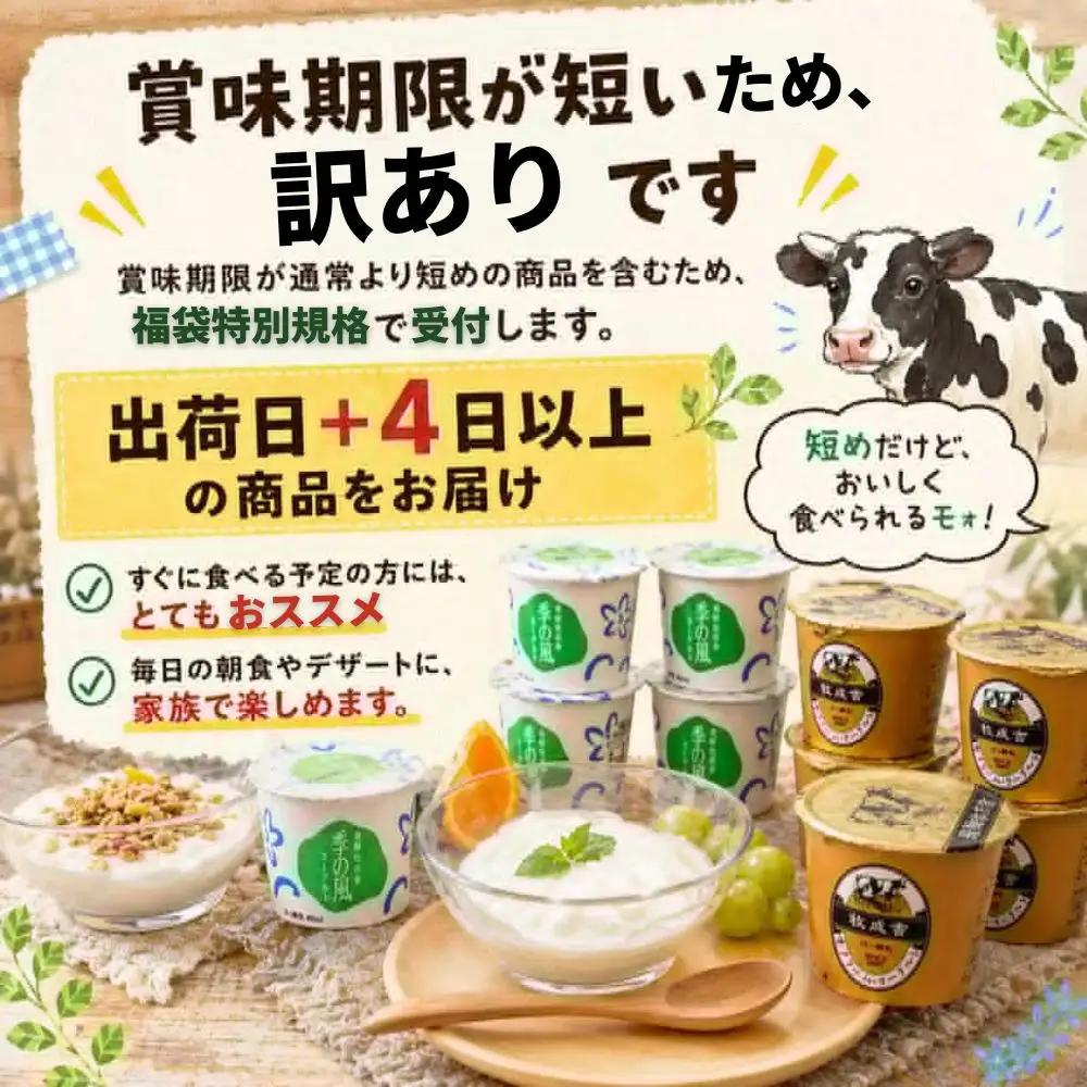 訳ありヨーグルト福袋 牧成舎 福袋 [Q3242]