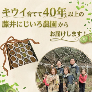 【先行予約】キウイ 4種アソート 約1.9kg 山口県阿武町産【2026年11月～2027年2月発送】
