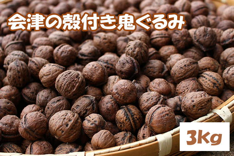 殻つき 会津の鬼ぐるみ３kg