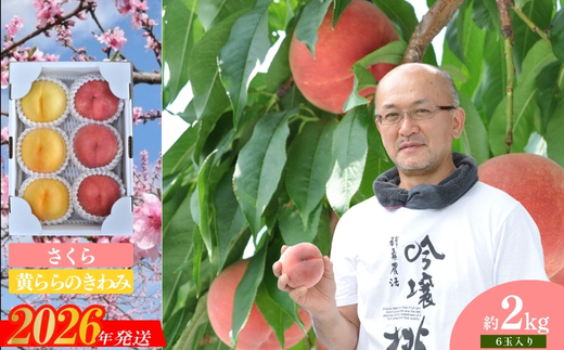 No.1523【限定50箱】吟壌桃「さくら＆黄ららのきわみ」約2kg【2026年発送】
