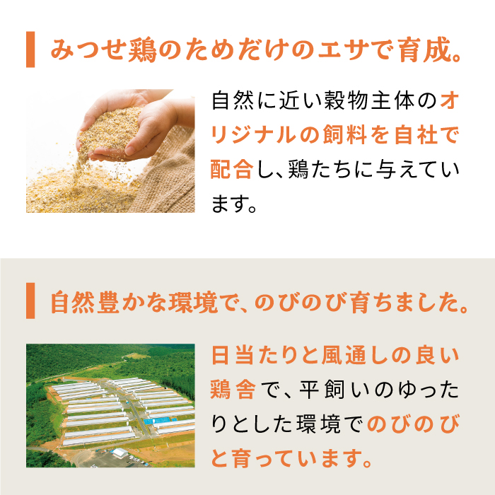 クリスマスなどの特別な日に♪みつせ鶏丸鶏1羽（2.0〜2.3kg） 【スピード発送】  吉野ヶ里町/ヨコオフーズ [FAE081]