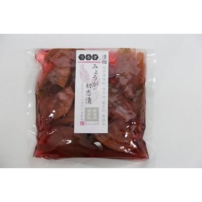 ふるさと納税 売木村 うるぎの漬物季節の漬物3種類セット　 |  | 02