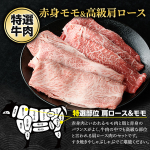 鹿児島県産 黒毛和牛 食べ比べ（ カタロース ・ モモ ） (計600g・各300g)【ナンチク】nanchiku-7256