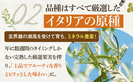 壱岐産 エクストラバージンオリーブオイル 2本（100ml/本）《壱岐市》【壱岐オリーブ園】 オリーブ オリーブオイル エクストラバージン ギフト プチギフト [JDU019]  40000 4000