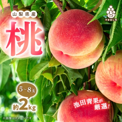 【2027年(来年)発送】 桃 約2kg (5玉~8玉) 厳選 ! 池田青果の もも【配送不可地域：離島・沖縄県】