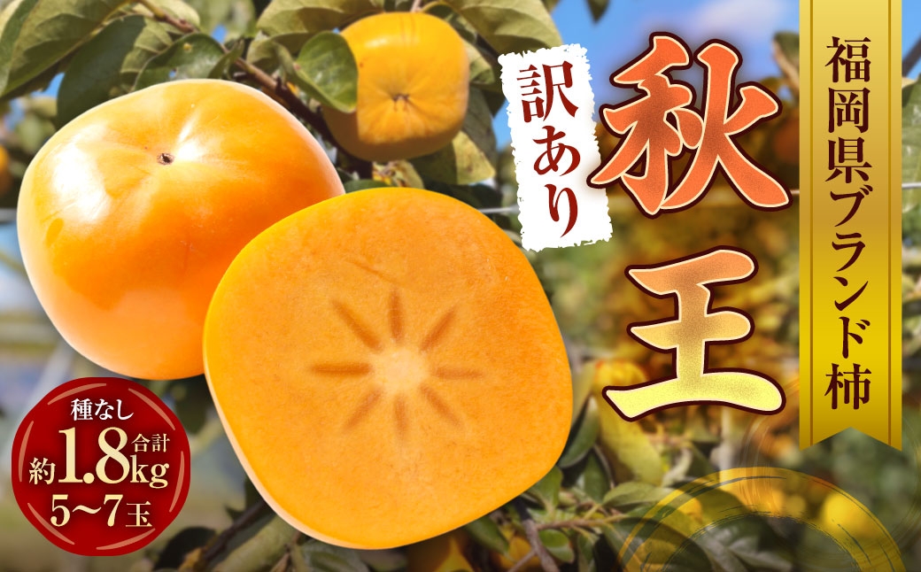 
                  【訳あり品】 福岡県ブランド柿 秋王 訳あり品 5－7玉 約1.8kg 種無し 【2026年11月上旬－11月下旬発送予定】 規格外 家庭用 果物 くだもの 果実 フルーツ 柿 かき カキ 国産 福岡県産 ブランド ブランド柿 高級品種 甘柿
                