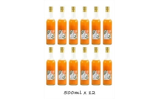 【定期便（2カ月ごと全6回）】小田原産江之浦みかん１００％ストレートジュース５００ml１２本