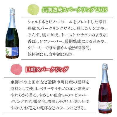ふるさと納税 東御市 ワイン　長期熟成スパークリング & 巨峰 スパークリングワイン 2本セット 【アルカンヴィーニュ】 |  | 01