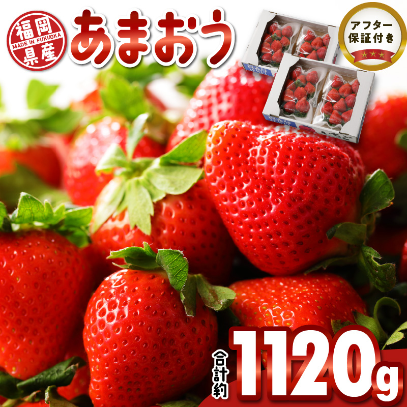 福岡県産 あまおう 約1120g（約280g×4パック）_福岡生まれ いちご あまおう 約280g×4 パック 計約1120g 希少 福岡県産 久留米市 フルーツ 果物 果汁 フルーティー ビタミンＣ キシリトール カリウム 食物繊維 スイーツ デザート いちごジャム いちご煮 冷蔵 お取り寄せ 送料無料_Fi050