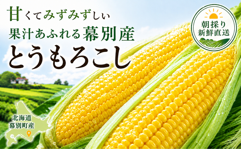 ［先行予約/2026年］もぎたてとうもろこし黄10本 [北海道ホ