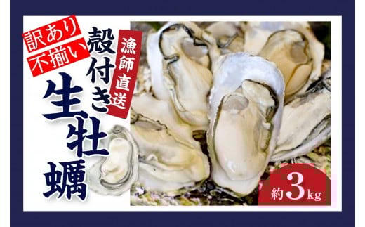 ★先行予約★《訳あり・不揃い》殻付き生牡蠣　3kg 【漁師直送!】冷蔵配送