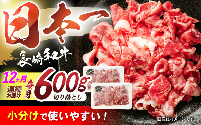 
            【12回定期便】長崎和牛 切落し 300g×2パック / 長崎和牛 切落し 和牛 国産牛 牛肉 / 諫早市 / 有限会社長崎フードサービス [AHDD008]
          