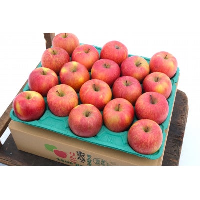 【25年12月出荷予定】平均糖度13度以上! 葉とらずサンふじ 約10kg 訳あり【配送不可地域：離島・沖縄】【1612858】