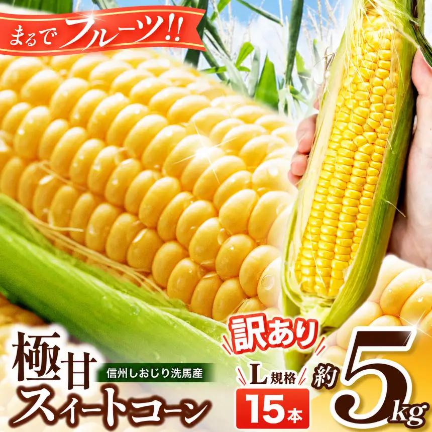 極甘スイートコーン 訳あり L規格15本 約5kg （高原野菜の名産地　信州しおじり洗馬産）【8月10日～15日頃に出荷予定※不在日対応不可※】