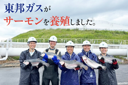 知多クールサーモン（スモーク加工品　200g×3パック） 数量限定 スモークサーモン 鮭 さけ 魚 海鮮 魚介類 おつまみ スモーク オードブル おかず 惣菜 お取り寄せ 冷凍 国産 燻製 愛知県 知