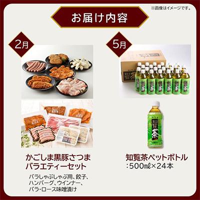 ふるさと納税 南九州市 【発送月固定定期便】南九州まんぞく定期便　ライト全4回 |  | 01