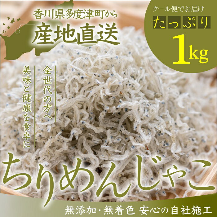 【ふるさと納税】瀬戸内香川県産 ちりめん 1kg（お届け：冷凍）〔提供：株式会社宮崎水産〕瀬戸内 新鮮 ちりめんじゃこ お取り寄せ ご飯のお供 ちりめん おつまみ 小魚 国産 冷凍 ちりめん 1000g 冷凍 香川県産 宮崎水産