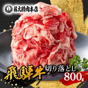 【ふるさと納税】何にでも使える!【飛騨牛】切り落とし800g【配送不可地域：離島】【1046755】