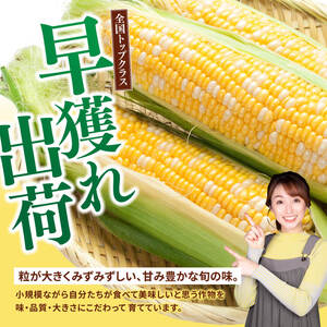 【令和８年発送】SUNちゃん農園産「ドルチェドリーム4.5kg以上（サイズ指定不可）」【 とうもろこし ドルチェドリーム トウモロコシ 令和8年発送 数量限定 期間限定 】